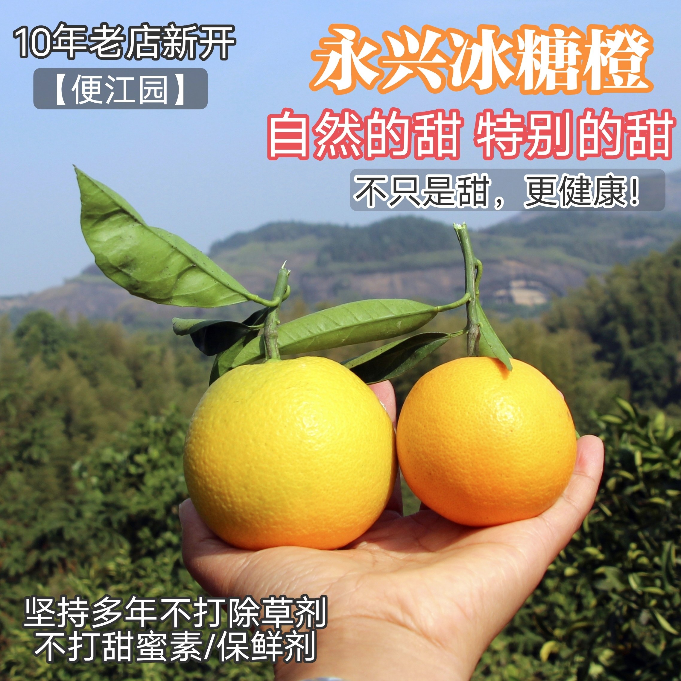 正宗湖南永兴冰糖橙现摘新鲜橙子当季水果甜橙柑子10斤18斤便江园