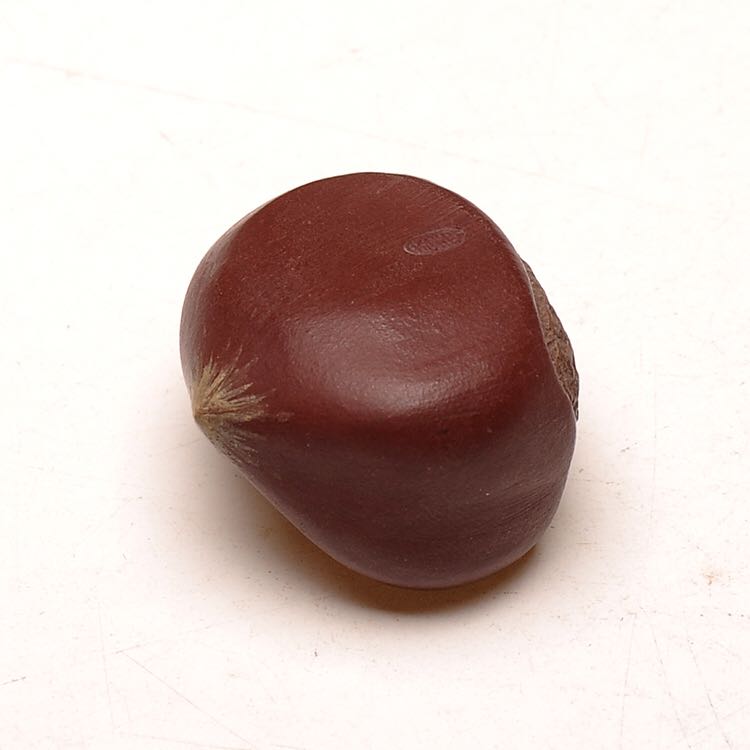 板栗（中瓣不开口）茶宠 茶玩 把件 摆件 百果 五洲紫砂坊 万国琴