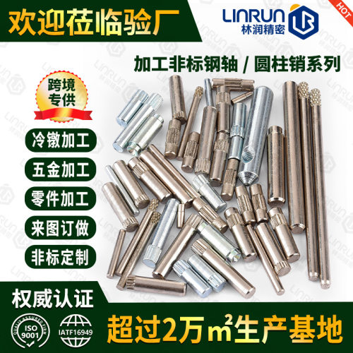 定制不锈钢轴 冷镦滚花销搓花轴光轴玩具轴 异型圆柱销钉轴销