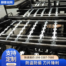 果园直线型热镀锌加厚带刺铁丝网家用围墙防爬防盗不锈钢刀片刺绳