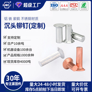 沉头实心铆钉铝铁铜不锈钢材质平锥铭牌钉GB869非标定制