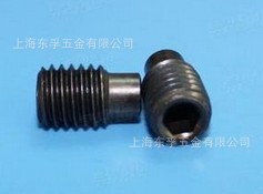 DIN915 内六角圆柱端紧定螺钉  M2 ~ M24    L：2mm ~ 100mm