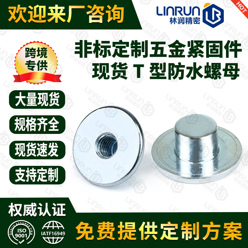 现货M5内牙T型大平头螺母 防水圆柱头大平头铆钉全螺纹圆柱头