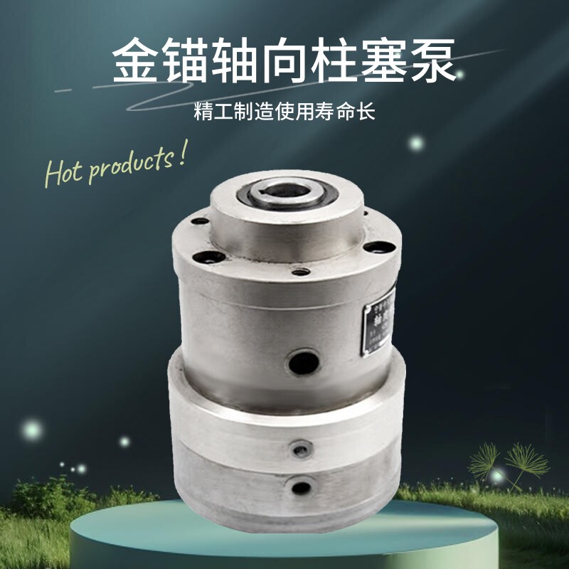 ZB型轴向柱塞泵2.5ZB2