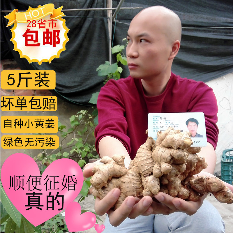 广西农家自种小黄姜鲜生姜原始老姜老黄姜小土姜无硫3斤/5斤包邮