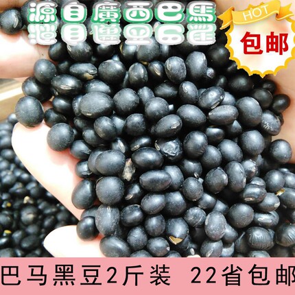 广西巴马黑豆农家自种小无污染黑豆纯天然黑 有机小黑豆2斤装包邮