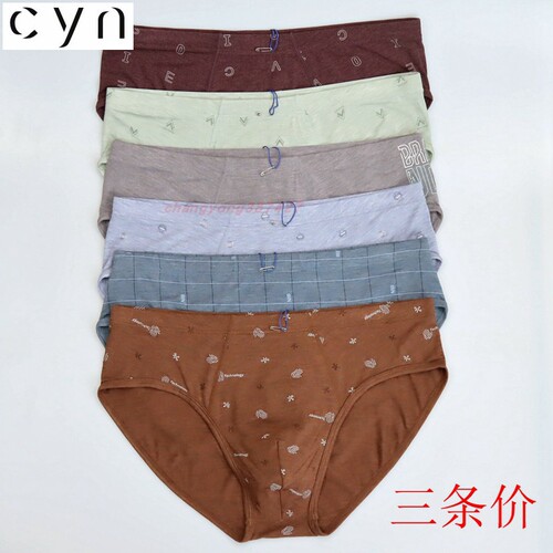 3条CYN创雅诺玻丽尔彩纱抗菌内裤