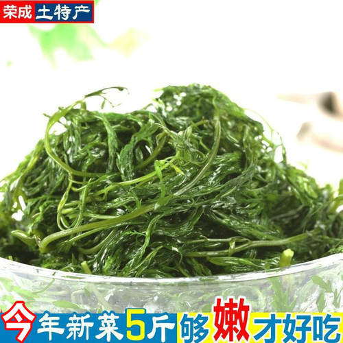 新货盐渍马尾藻菜 海藻 干货长寿菜天然火锅食材海带 海草5斤饭店