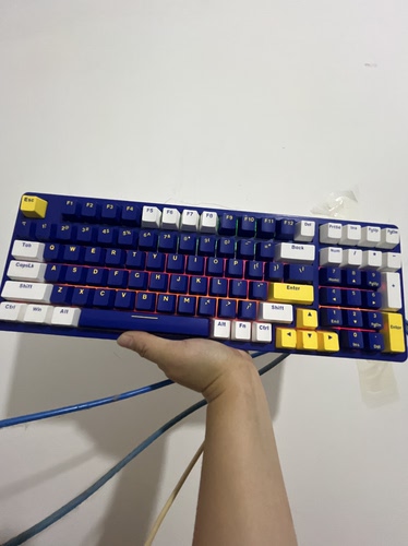 二手达尔优CK100pro游戏机械键盘热插拔网吧有线电竞光轴蓝