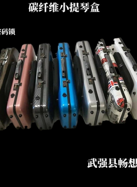 小提琴盒子武强县畅想乐器