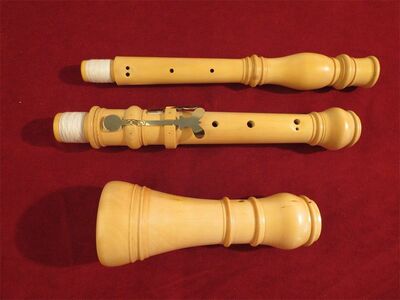 Fantasy Instruments Oboe Professional Concerts/Box 415 Гц гобоя