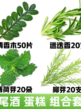 黄金柳芽迷迭香清香木叶子网红蛋糕烘焙鸡尾酒调酒装饰摆盘花草