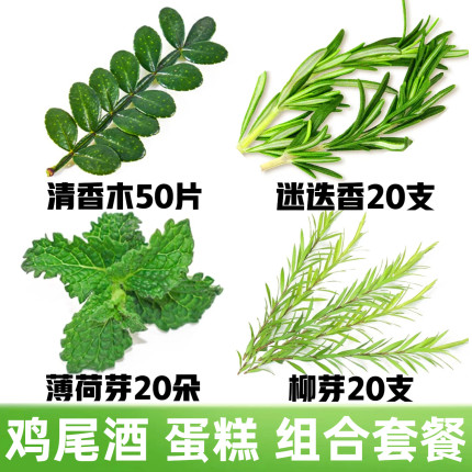 黄金柳芽迷迭香清香木叶子网红蛋糕烘焙鸡尾酒调酒装饰摆盘花草
