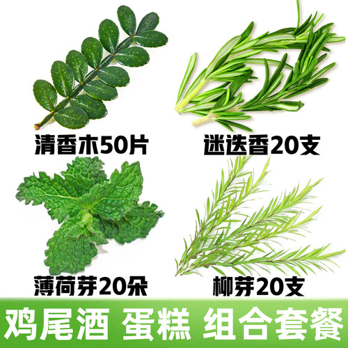 黄金柳芽迷迭香清香木叶子网红蛋糕烘焙鸡尾酒调酒装饰摆盘花草