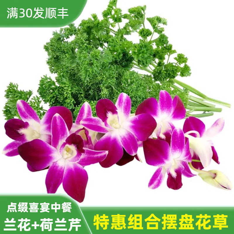 新鲜杨兰花荷兰芹套装组合火锅烤肉摆盘菜装饰餐饮宴酒席摆盘花草