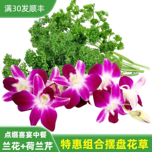 新鲜杨兰花荷兰芹套装组合火锅烤肉摆盘菜装饰餐饮宴酒席摆盘花草