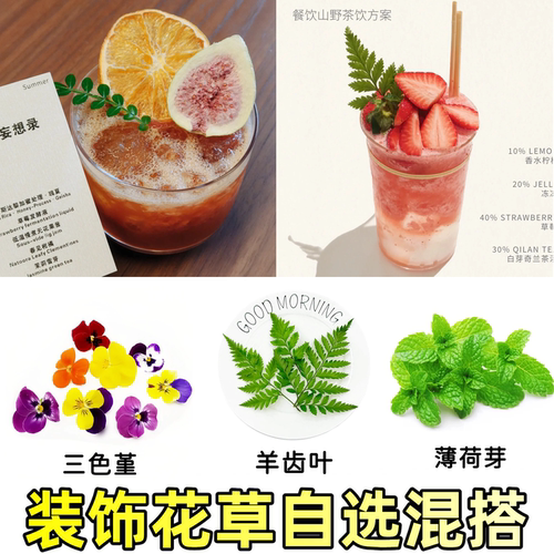 咖啡烘焙饮品奶茶装饰花草自选混搭新鲜清香木薄荷烘干水果菠萝片