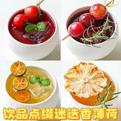 冬季圣诞节饮品咖啡鸡尾酒调酒热饮装饰摆件叶子迷迭香薄荷清香木