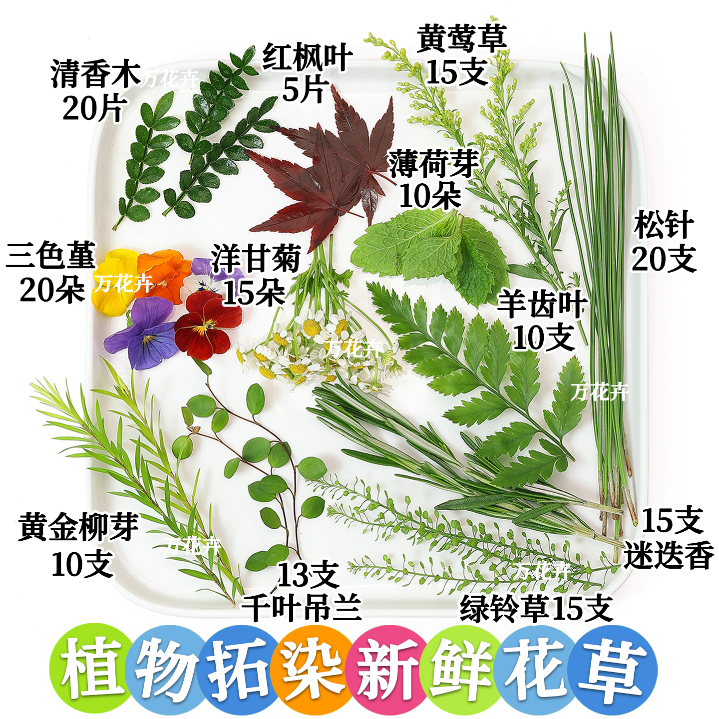 拓印植物敲拓染绿叶花卉新鲜材料diy儿童手工活动帆布袋书签押花