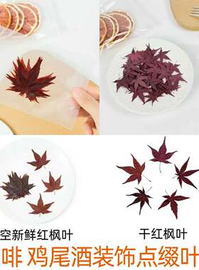秋季咖啡奶茶拿铁点缀叶子红枫叶真空包装鸡尾酒饮品装饰干枫树叶