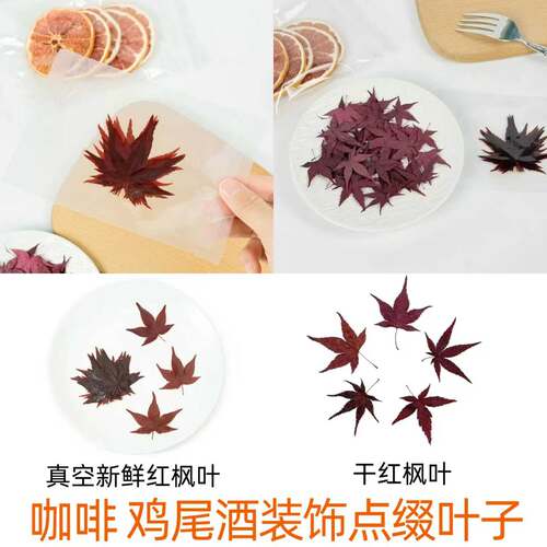 秋季咖啡奶茶拿铁点缀叶子红枫叶真空包装鸡尾酒饮品装饰干枫树叶