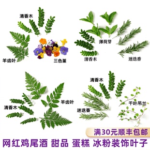 夏季网红鸡尾酒装饰新鲜薄荷叶清香木三色堇蛋糕甜品冰粉装饰叶子