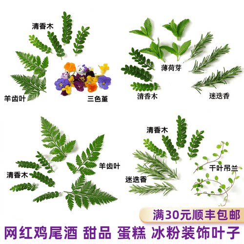 网红鸡尾酒装饰叶子新鲜采摘