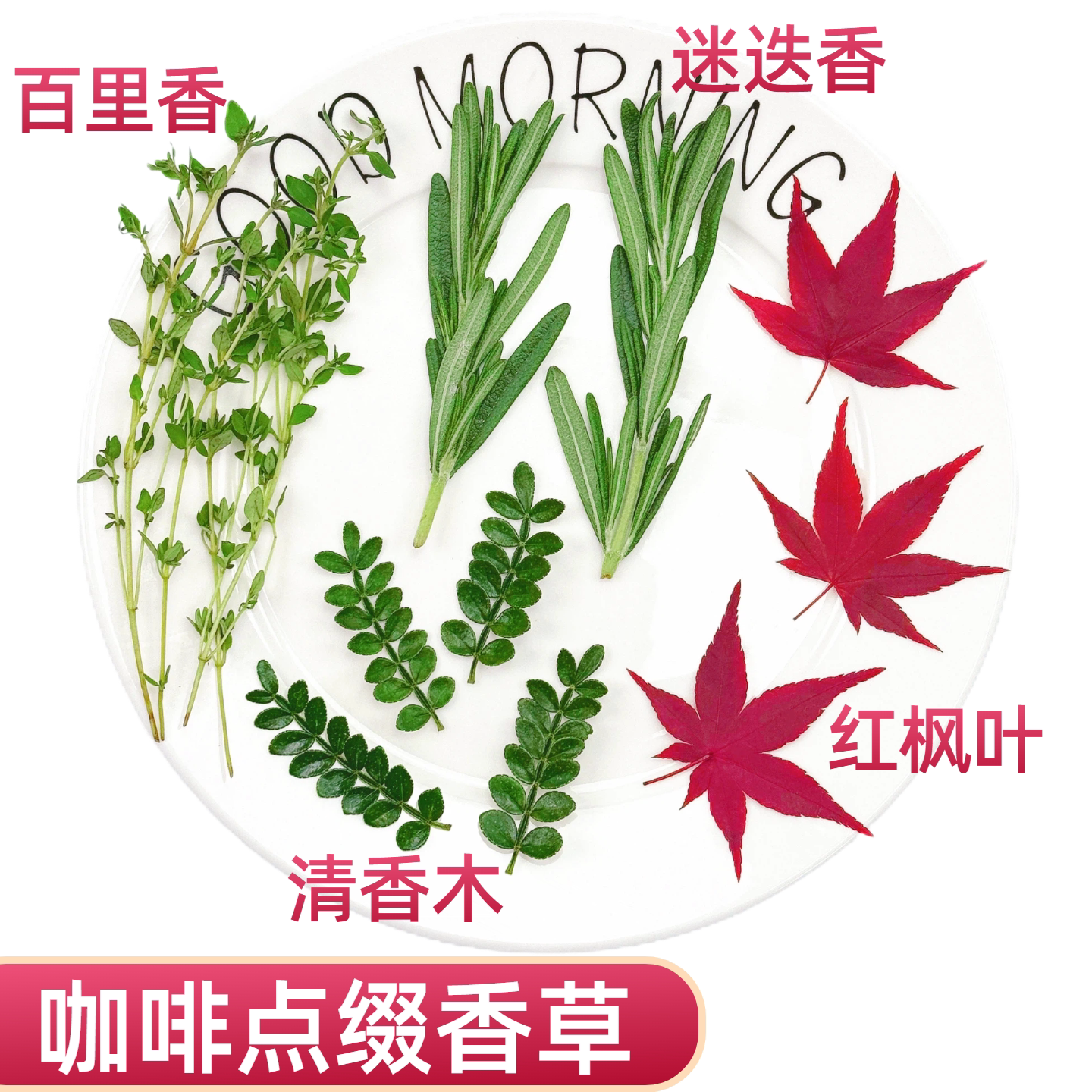 秋季咖啡点缀香草新鲜迷迭香百里香可食用装饰真空红枫叶清香木叶图片
