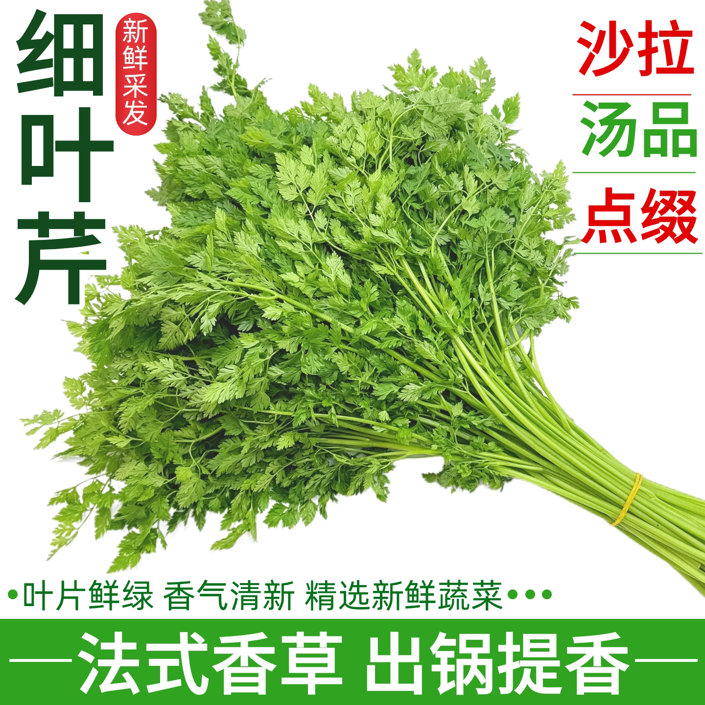 新鲜细叶芹Chervil雪维菜法式香草西餐摆盘汤品点缀食用香叶芹菜