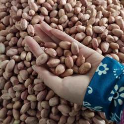 新鲜粉红皮5斤农家产25年山东威海大花生米手剥花生养胃1斤生原味