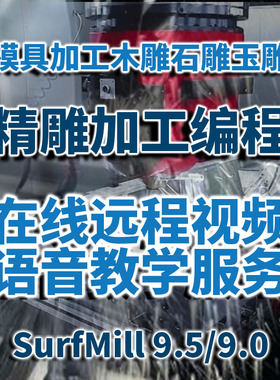在线远程教学北京精雕SurfMill 9.5模具加工玉雕木雕石雕路径编程