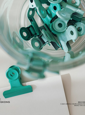 好用的小巧的薄荷绿色的小夹子。书本夹，票据夹