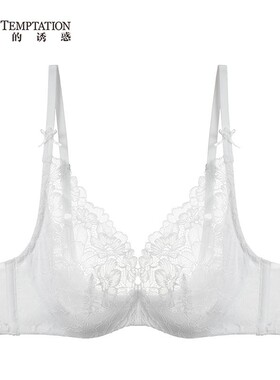 EVES TEMPTATION夏娃的诱惑蕾丝内衣女薄款大胸显小文胸V2222114