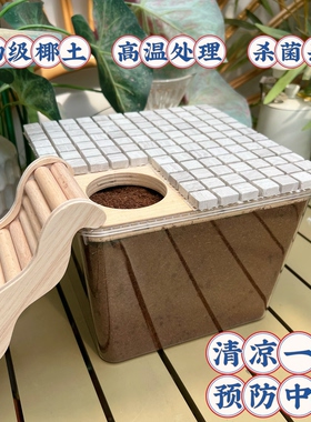 夏季消暑椰土挖掘盒！仓鼠金丝熊大尺寸透明厕所浴室减压玩具防暑