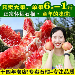 安徽怀远石榴玉石籽白新鲜硬软籽无子甜特大薄皮水果薄皮整箱包邮