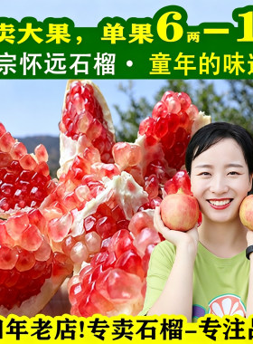 童年味道怀远玉石籽甜石榴籽水足