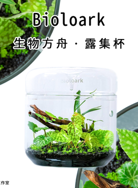 露集杯Bioloark生物方舟苔藓瓶生态瓶高硼硅玻璃瓶微景观苔藓食虫