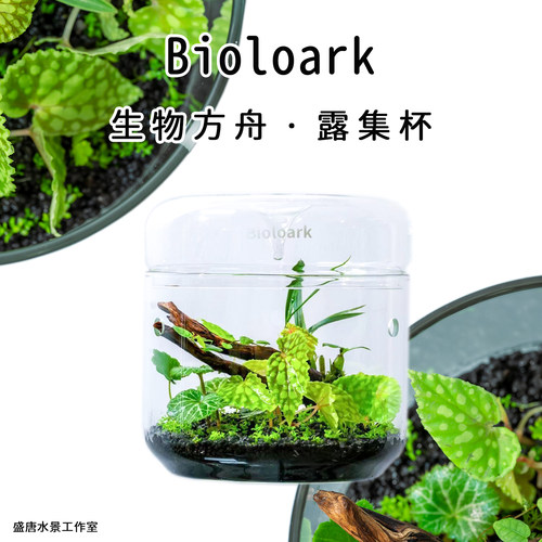 桌面景观空瓶办公桌生态瓶精致