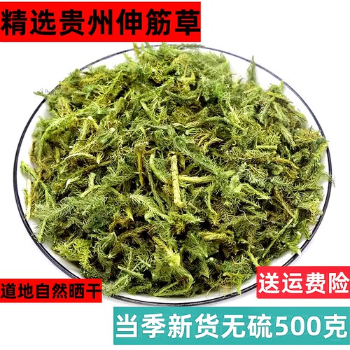 贵州深山伸筋草中药材舒筋草 生筋草 申筋草泡脚特级正品无硫干货