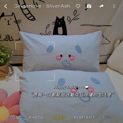 毛巾绣毛巾绣全棉卡通枕套