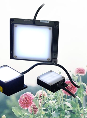 机器视觉检测光源底部背光源 面光源UST FL12080 LED工业光源