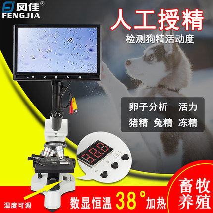 凤佳数显恒温显微镜猪兔狗精畜牧人工授精高倍显示屏温度38度可调