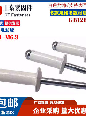 GB12618白色开口型扁圆头抽芯铆钉M2.4M3M3.2-M5烤漆铝拉丁拉铆钉