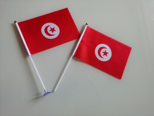 7号8号突尼斯国旗可开票手挥旗手摇旗突尼斯小国旗Tunisia Flag