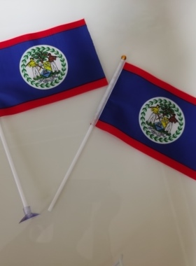 8号14*21CM伯利兹国旗可开票手挥旗手摇旗伯利兹小国旗小旗子