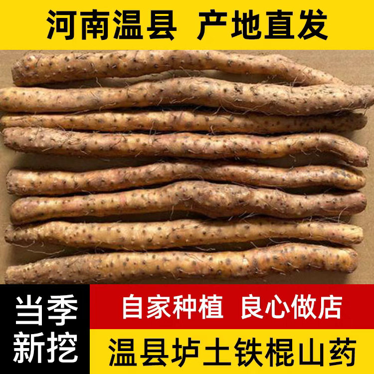 正宗河南焦作温县垆土铁棍山药5斤新鲜怀山药铁杆山药淮山药