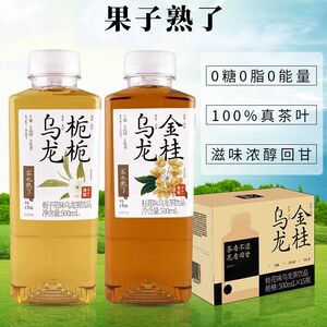 果子熟了金桂乌龙茶无糖饮料栀栀0糖0卡0脂饮品茶饮料整箱批特价