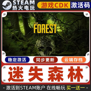 迷失森林 STEAM游戏激活码全球区CDK 永久入库 全DLC 包更新