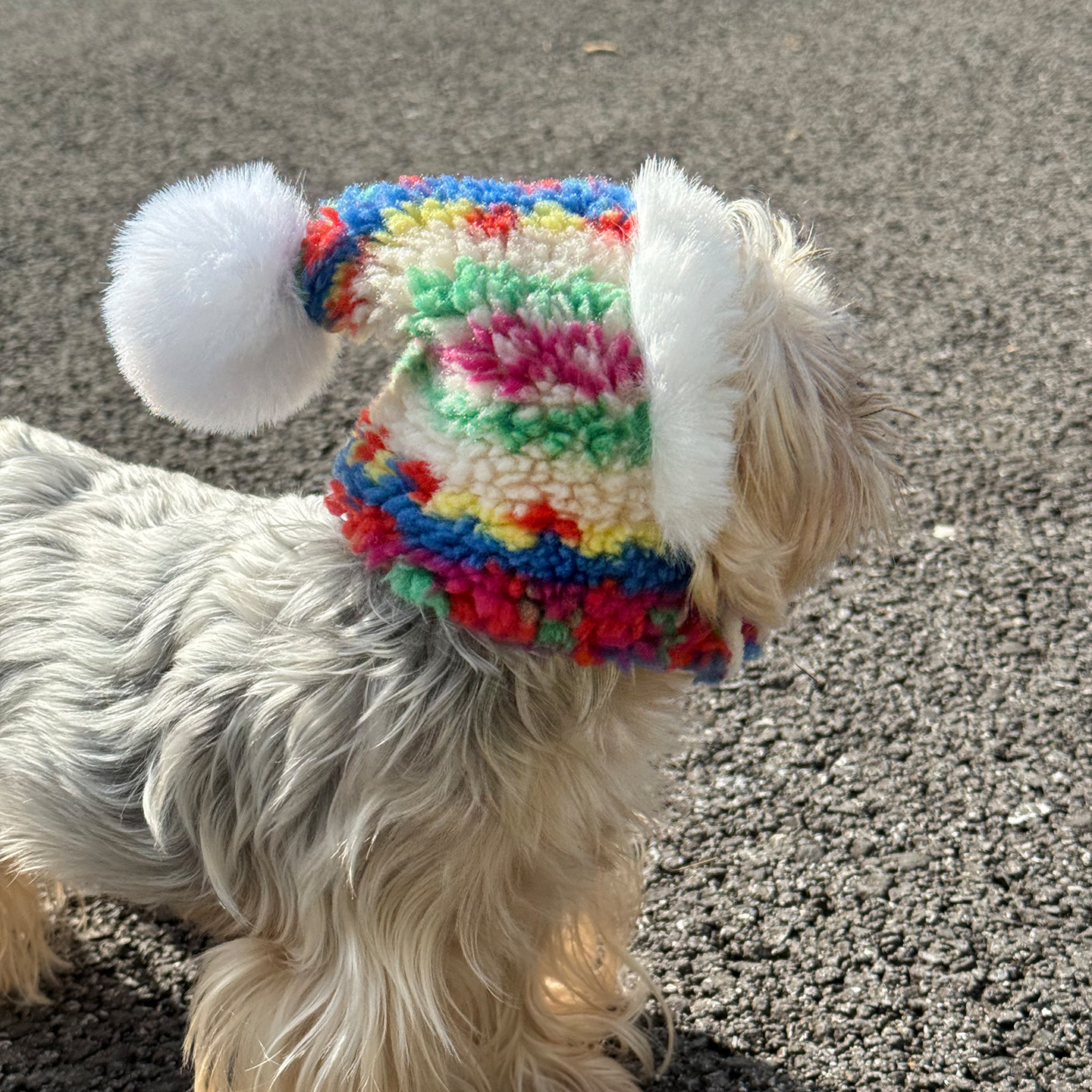 宅日梦乐宠物猫咪狗狗冬季保暖帽子民族风加绒可爱帽小型犬约克夏,宠物/宠物食品及用品,帽子,淘宝优惠券,粉丝福利购,淘宝优惠卷