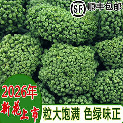 2026年新三七花云南文山特级正品37茶500克田七花非野生文山特产
